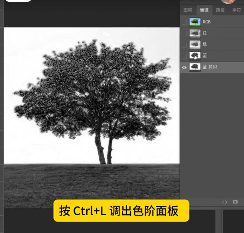 PS抠图-通道抠图