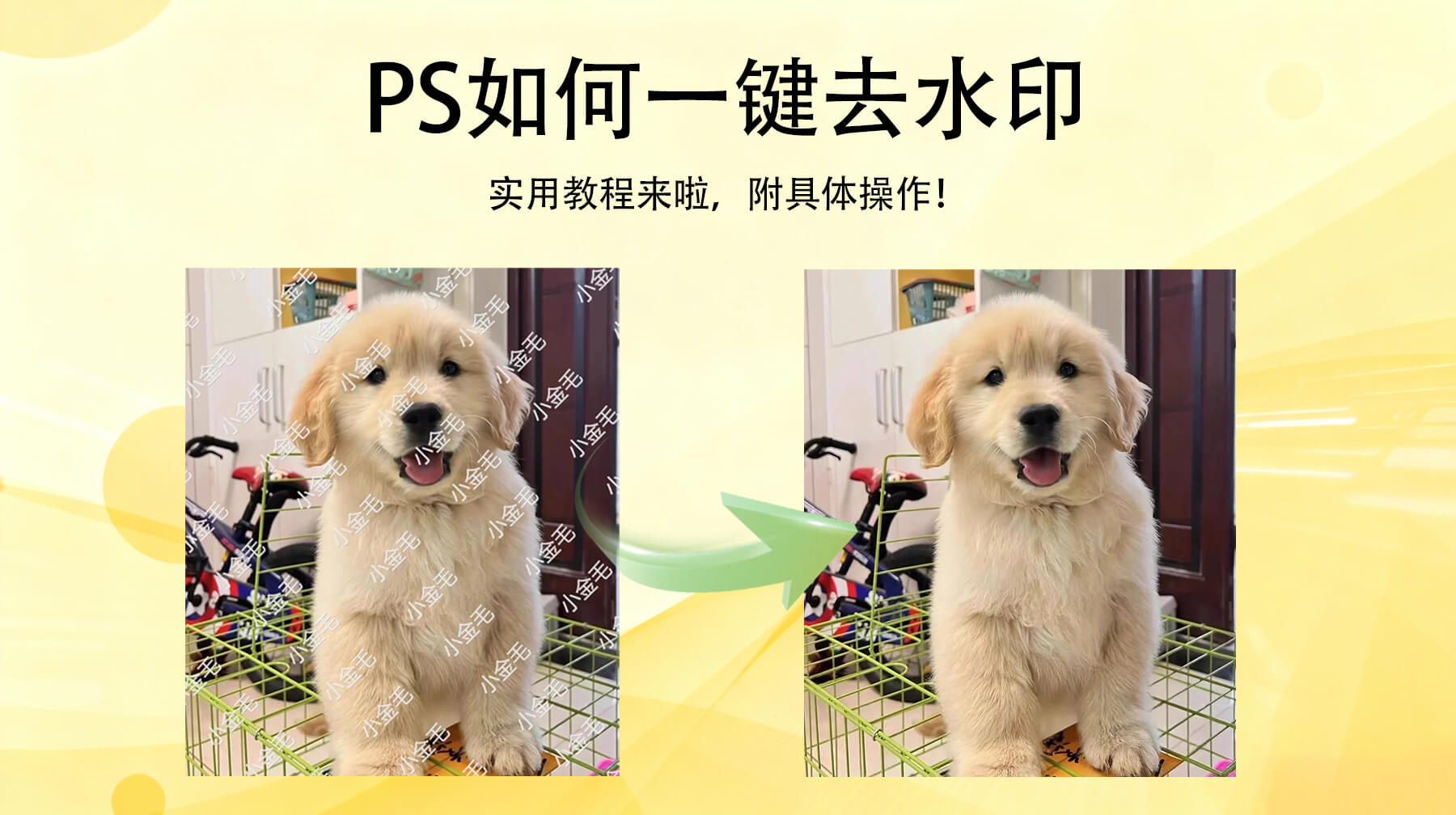 PS如何一键去水印：用PS插件“图片去水印”功能，3步消除水印超高效