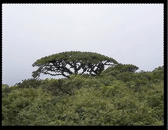 PS抠图快捷键：选区蚂蚁线