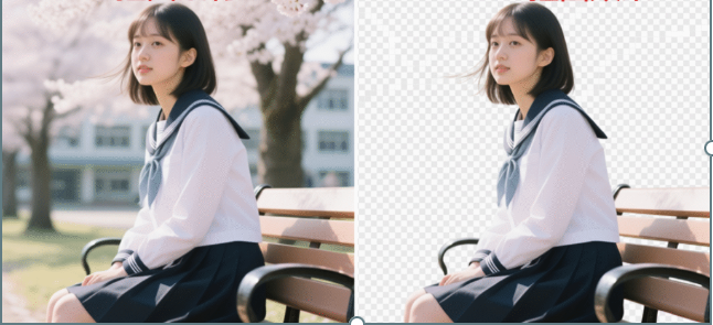 StartAI一键抠图去效果的效果