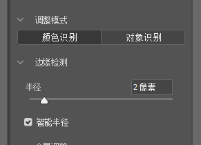 选择并遮住设置面板