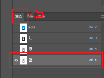打开通道面板,选择主体与背景对比最强的通道