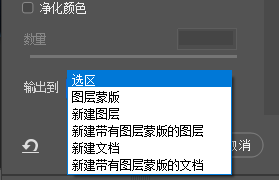 输出到新建带有图层蒙版的图层