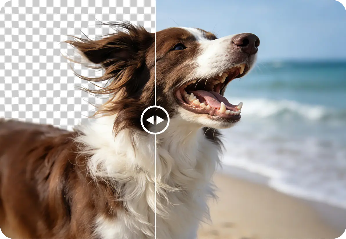 动物毛发去背景效果展示