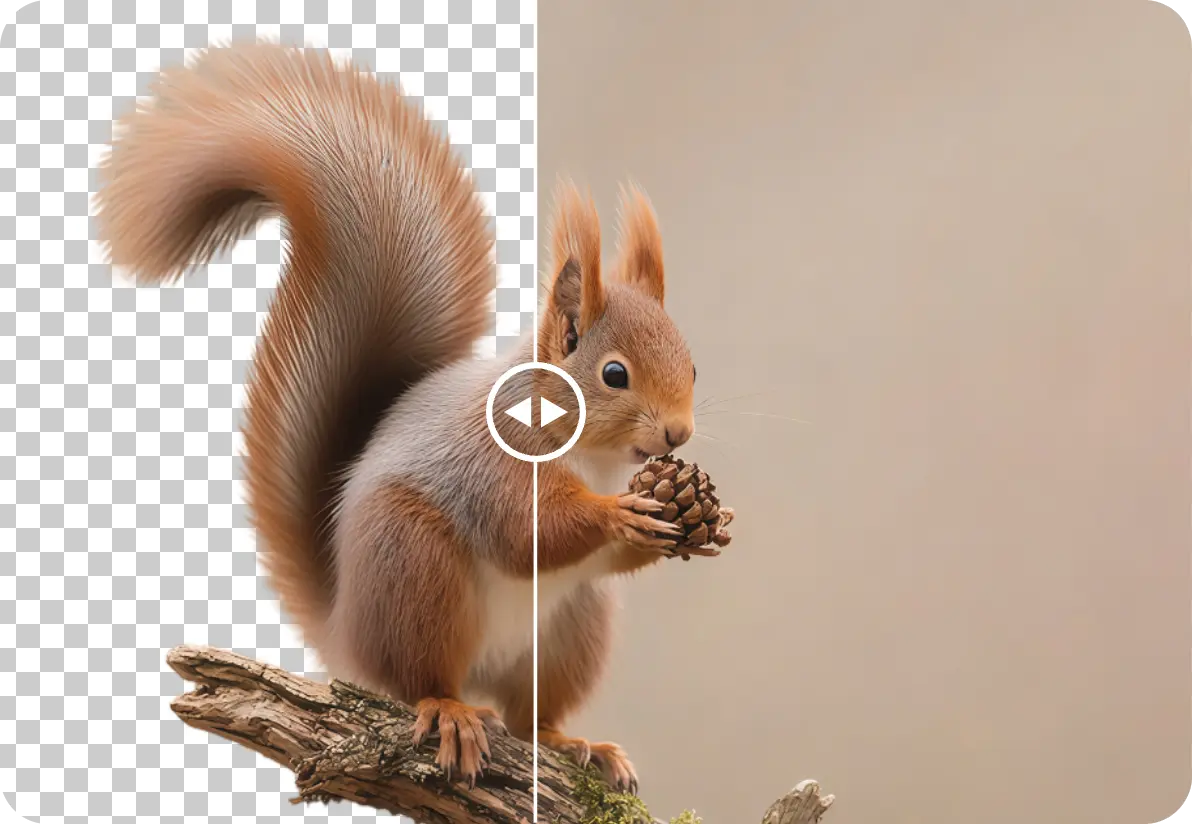 动物毛发抠图效果展示