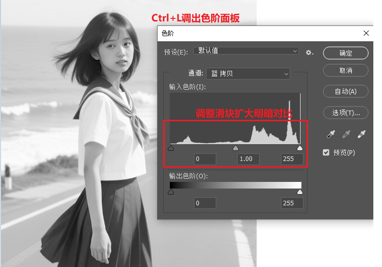 按下Ctrl+L调整色阶
