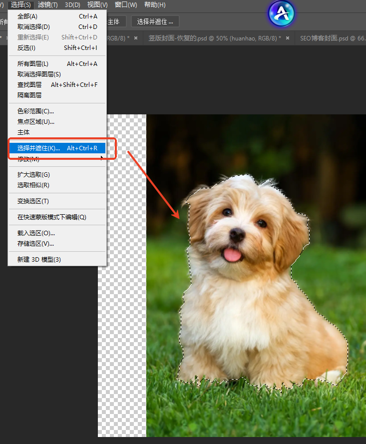 “选择并遮住”