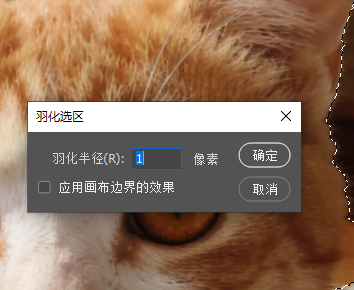 调整羽化半径,让边缘过渡更柔和