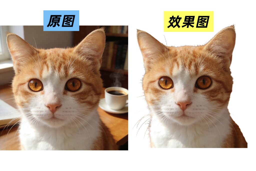 利用StartAI抠图的效果