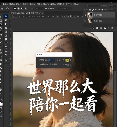 选择Ps扩展工具