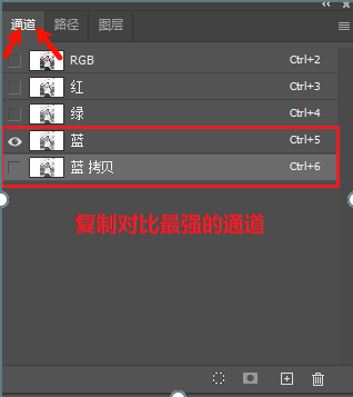 进入“通道”面板，复制一份主体与背景对比度最强的通道