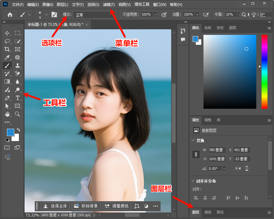 PS界面核心功能模块位置：菜单栏、工具栏、 选项栏和面板
