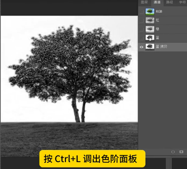按Ctrl+L调出色阶