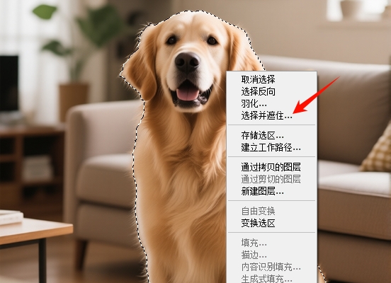 进入选择并遮住页面