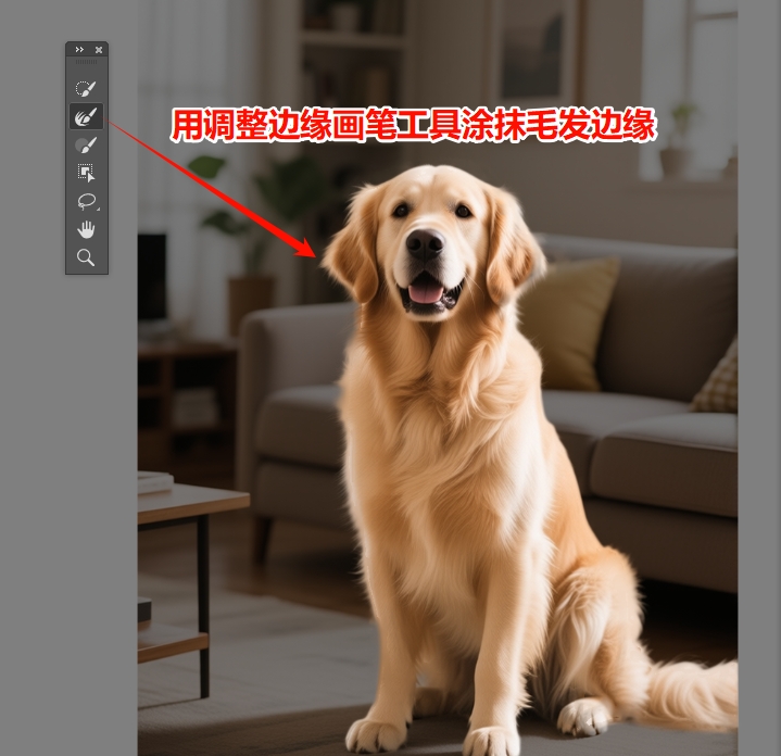 用调整边缘画笔工具涂抹毛发边缘