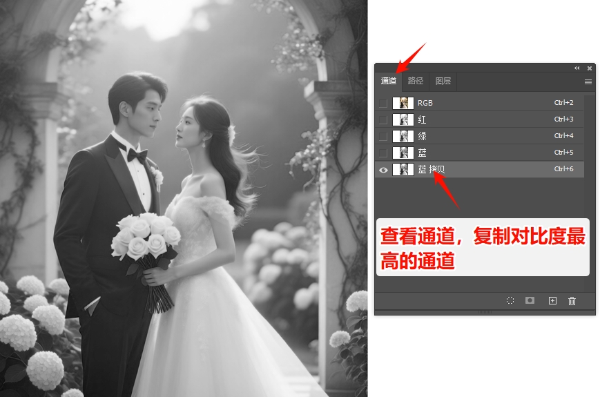 在PS通道面板中，识别并复制高对比度通道