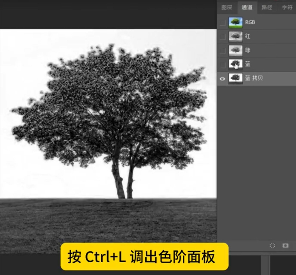按Ctrl+L打开色阶的面板