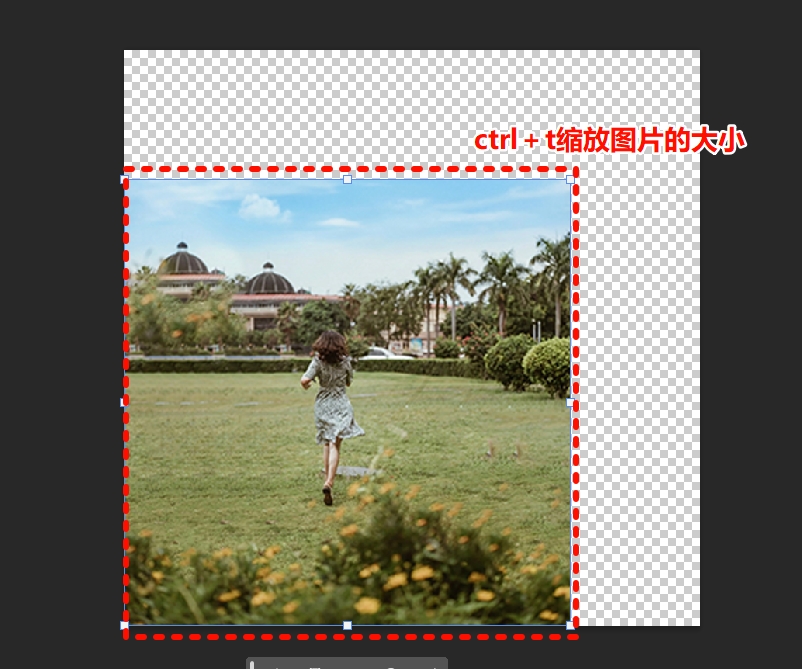Ctrl+T调出自由变换