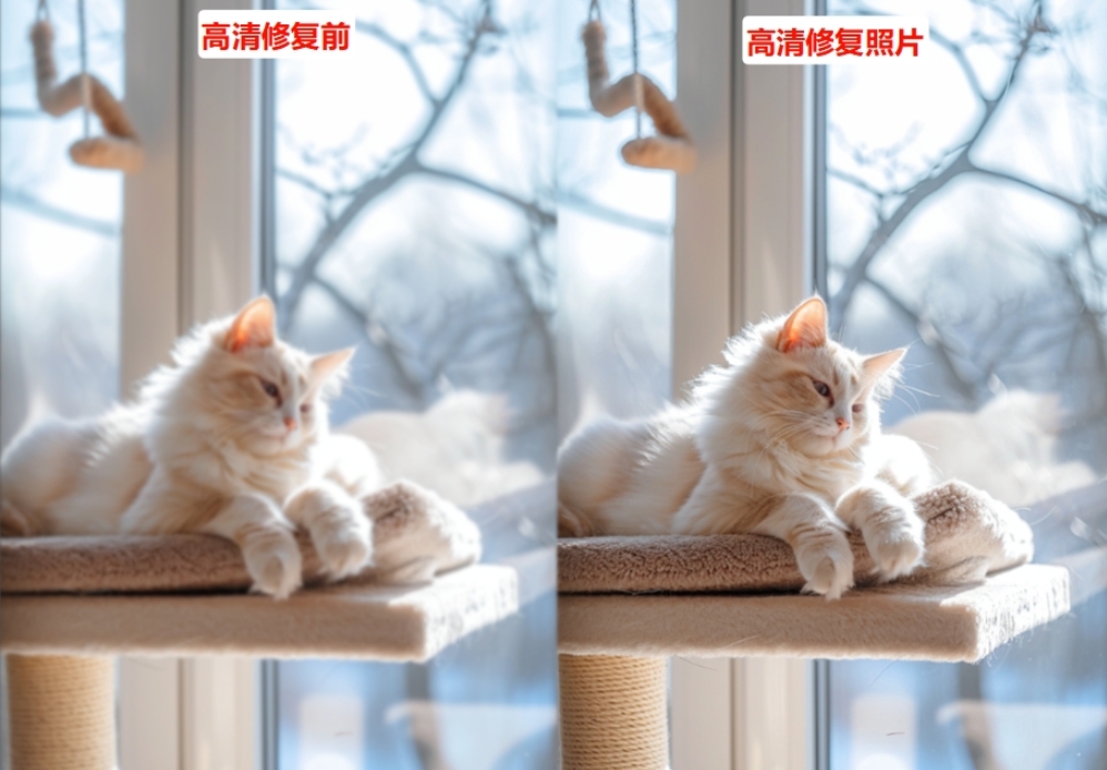 使用StartAI高清修复前后效果