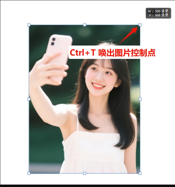 自由变换工具调整图片大小