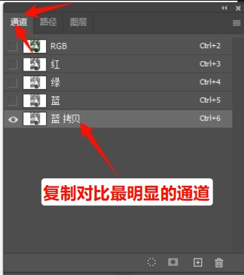 在通道面板,复制对比最明显的通道