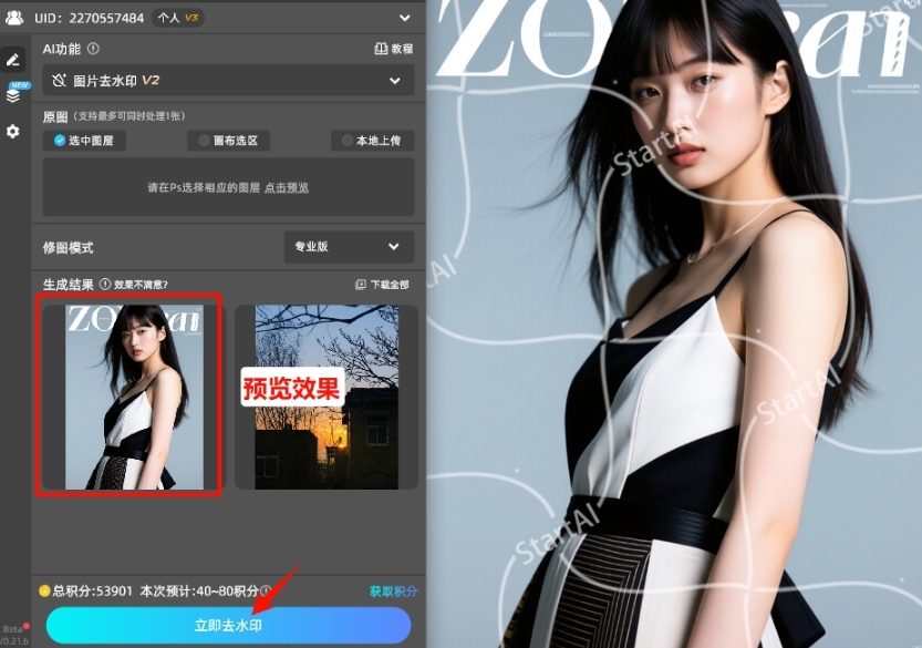 插件去水印效果展示