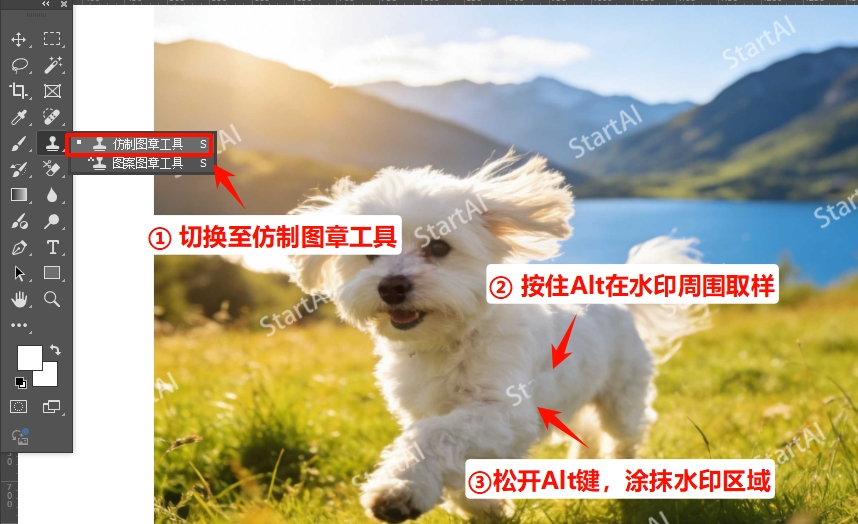 用Photoshop仿制图章工具去水印的方法