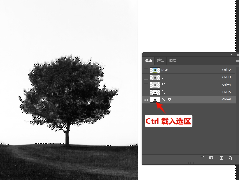 按住【Ctrl】键，点击通道副本的缩略图，生成选区