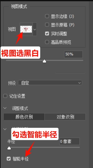 视图选“黑白”,勾选“智能半径”