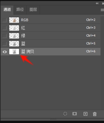 复制主体与背景对比最强烈的通道