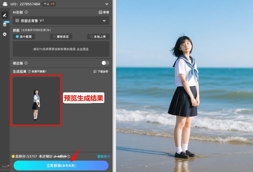 点击「立即移除」按钮，插件会自动删除背景