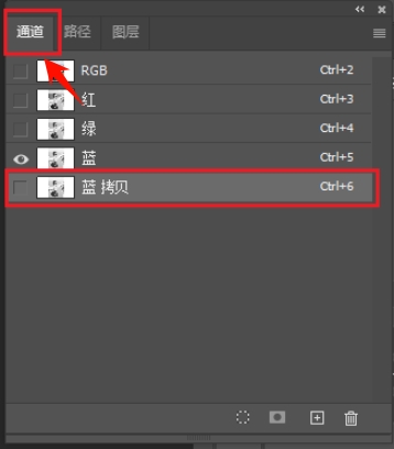 切换至通道面板，然后复制主体与背景对比最强烈的通道