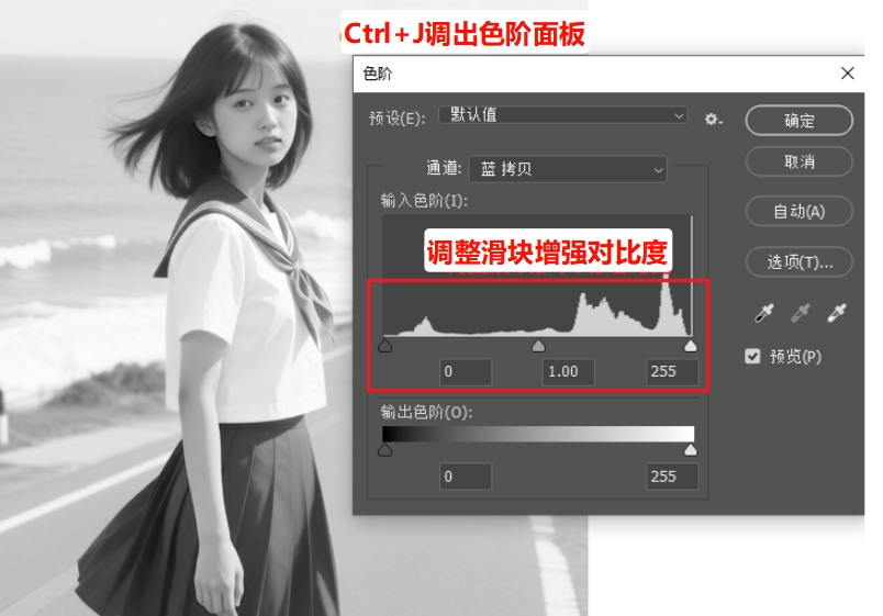 按Ctrl+L调出「色阶」，拉大主体与背景的对比度