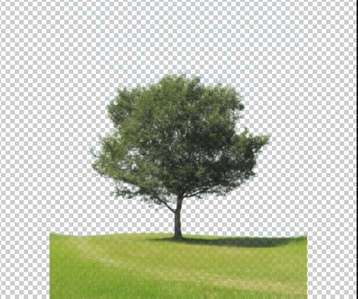 按Ctrl+J复制选区为新图层