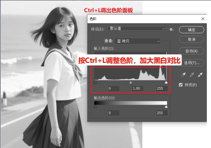 按Ctrl+L调整色阶,加大黑白对比