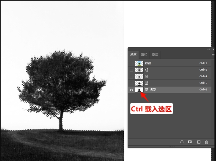 按住Ctrl点击复制后的通道缩略图,载入选区