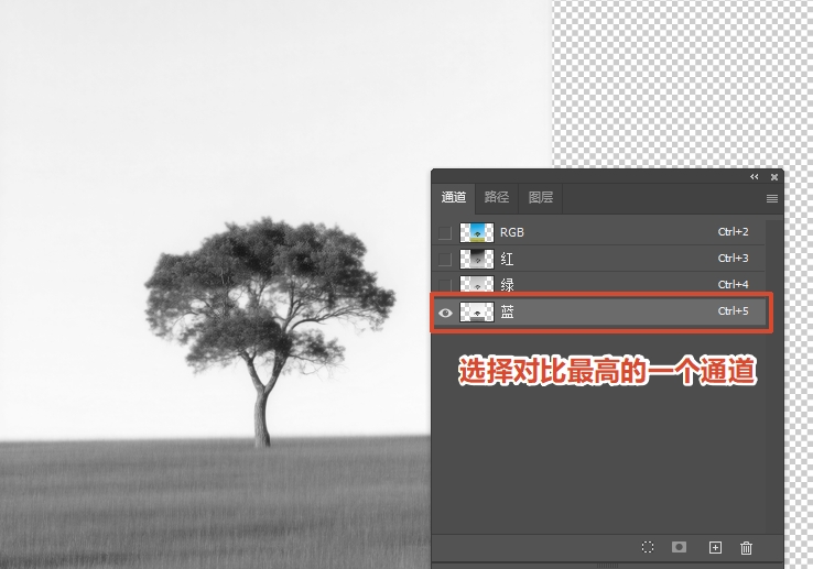 选择对比度最高的通道