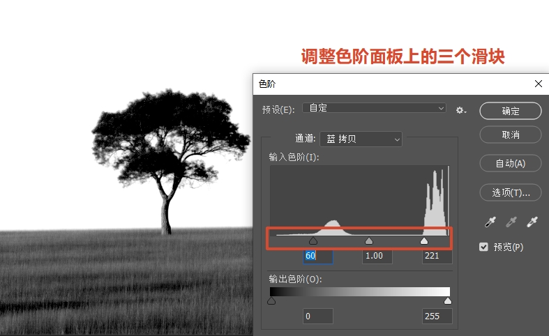 调整通道对比度,强化主体与背景分离