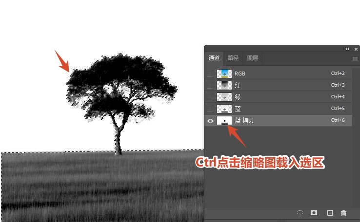 按住Ctrl键点击“通道副本”缩略图,出现虚线选区