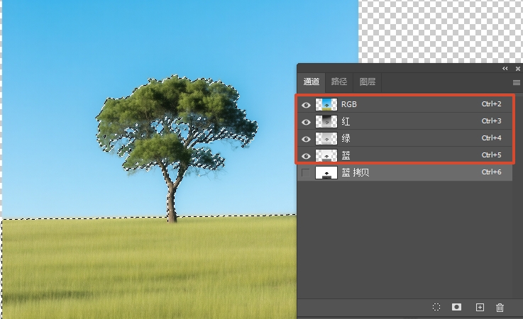 返回素材彩色画面