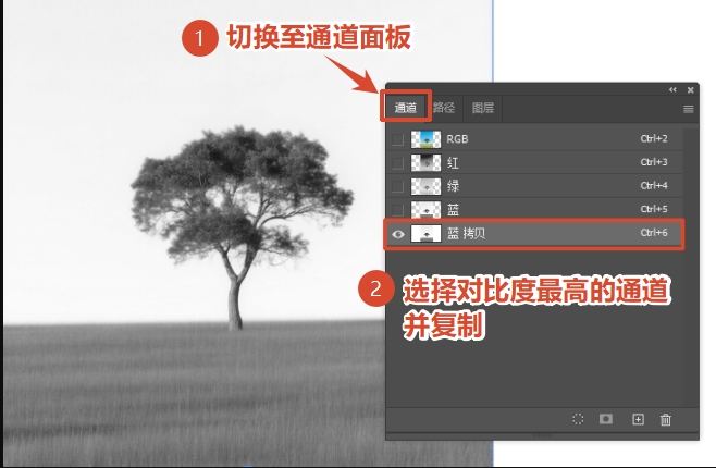 切换到「通道」面板，找到主体和背景对比度最高的通道，右键复制