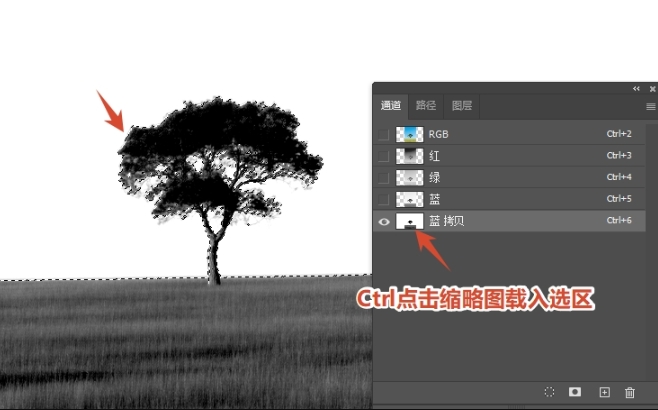 按住 Ctrl 键点击复制的通道缩略图，载入选区