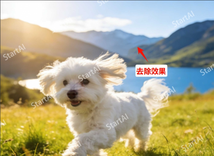 污点修复画笔工具去除logo效果图