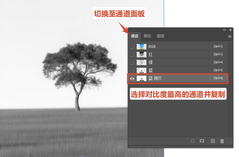 打开通道面板，选择主体与背景对比最强烈的通道，复制该通道