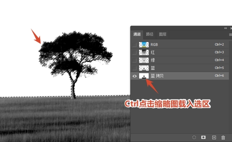 按住Ctrl键点击通道副本的缩略图，生成主体选区