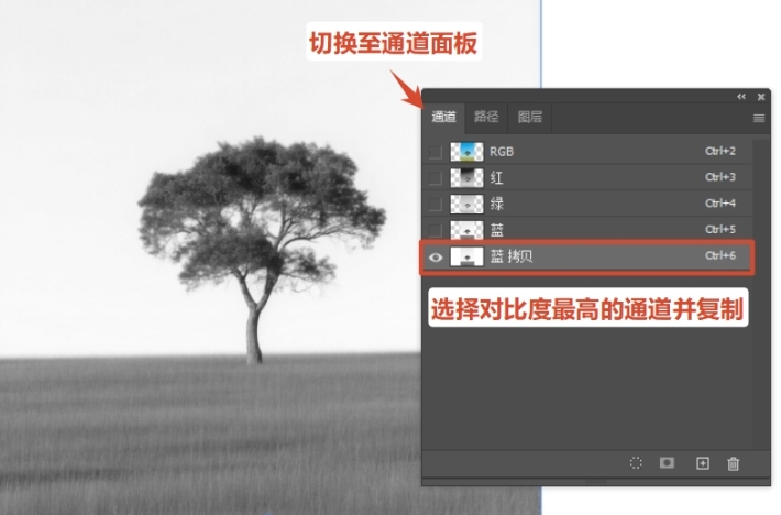 切换至通道面板，复制对比度最高的通道