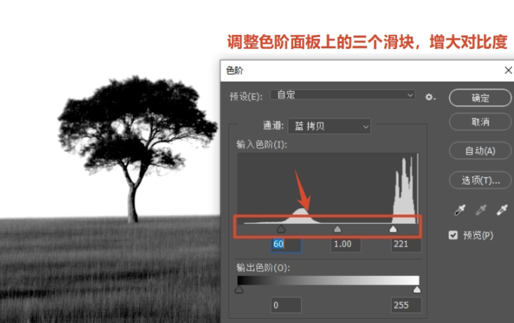 按Ctrl+L调出色阶，拖动黑白滑块扩大明暗对比，让主体变黑、背景变白