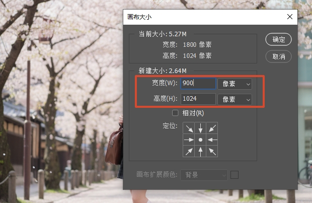 更具需求调整画布大小