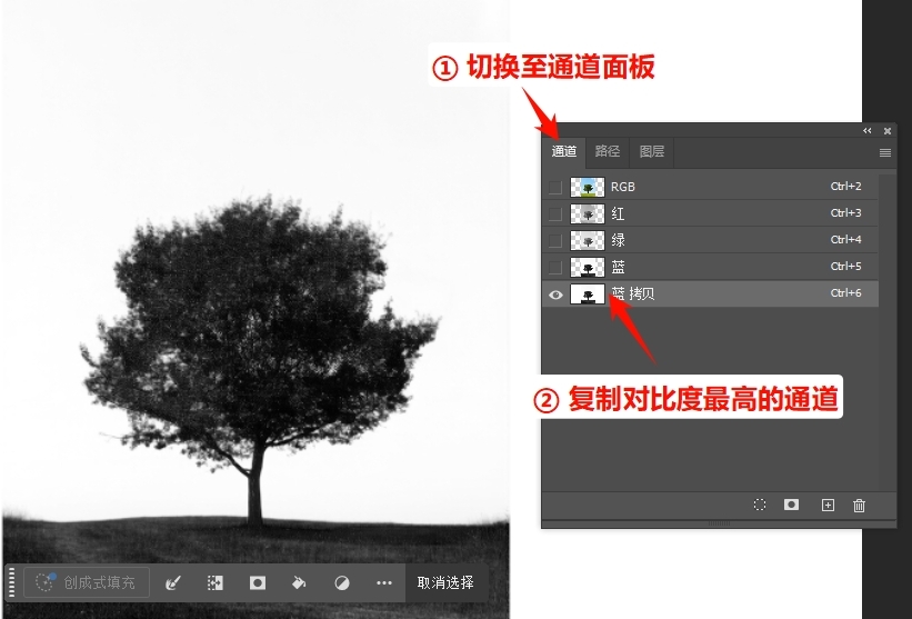 切换至「通道」面板，复制主体与背景对比最强的通道