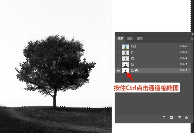按住Ctrl键点击复制的通道缩略图，生成选区